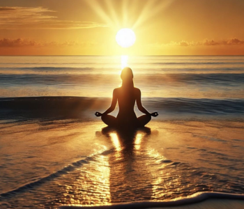 business (350 x 300 px) (2)